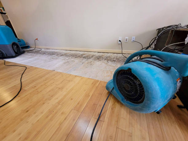 Professional Water Damage Repair technician working in Madras, OR